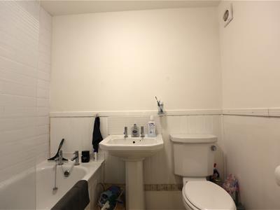 Picture 12